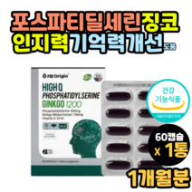 징코 포스파티딜세린 항산화 인지력 기억력 개선 도움 영양제 은행잎추출물 은행잎영양제 Ginkgo phosphatidylserine