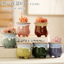 다육화분 다육이 심폴 화분 식물 미니 화분세트, 도자기, 옵션35
