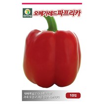 백원경 가지 씨앗 50립 - 가지씨앗 야채씨앗 채소씨앗 채소재배 종묘 종자 베란다 텃밭 씨 씨앗 오이 호박 방울토마토 수박 참외 멜론, 22_다농_오메가 레드파프리카(10립)