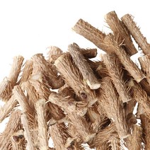 동의한재 가시많은 국산 햇 가시오갈피 가시오가피 나무 300g, 1개