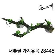 내츄럴 가지유목 28448