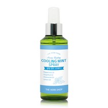[IL∃7] 아로마 힐링 쿨링 민트 스프레이 150ml 미스트 운동 휴대용 바디 멘톨_E∃8260eA, 옵션없음[^%&], ∠본상품