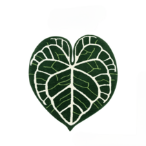 원룸 카펫 몬스테라 러그 나뭇잎 식물 카페트 수제 침실 침대 인테리어 매트