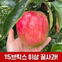 굿띵파머스 경북 부사 흠과 꿀사과 햇사과 가정용 3kg 6kg 10kg, 부사정품6kg(소과)28-34과