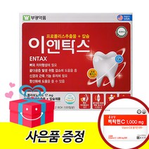 부광약품 이엔탁스 120정 + (종근당 비타민C1000 200정)증정