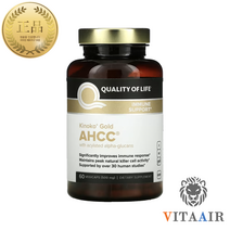 키노코 골드 AHCC 500mg 표고버섯 균사체 60캡슐