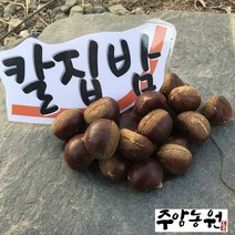 〔주암농원〕 2022년 햇밤 칼집밤 캠핑밤 유기농산물 인증 군밤용 칼집밤 에어프라이어 군밤 뜨래밤 대 특/ 대보밤 중 대 1kg, 뜨래 대