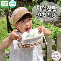농장직송 청계알 동물복지 유정란 청란 20구 청계란, 40구