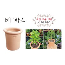 금란의 정원 국산토분 13번 대 1개