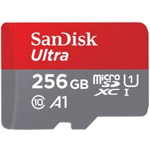 Sandisk micro SD Ultra 2020 Gen2 (256GB) microSD, 선택없음
