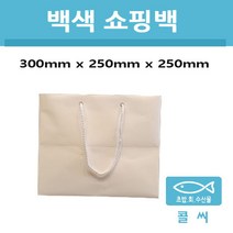 (주) 콜씨 백색쇼핑백, 100개