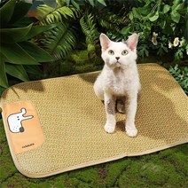 믹스MICS 반려동물 등나무 매트 쿨매트 고양이 강아지 여름 마약 방석 쿨링매트 펫하우스 애완동물 시원한 고양이집 강아지집, 아이스곰