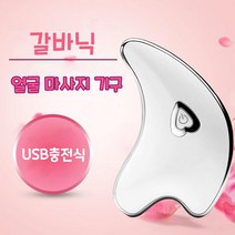 얼굴 마사지 기구 갈바닉 뷰티디바이스 얼굴 목 마사지기 45도 온열 LED EMS미세전류 이온도입 USB충전식, 화이트