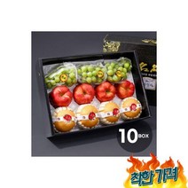 자연예서 혼합6호 과일(+배+머스캣)10BOX, 자연예서 혼합6호 과일세트(사과+배+샤인머스캣)10BO