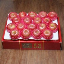산지직송 [GAP인증]문경사과 10kg(34~38과), 단품없음