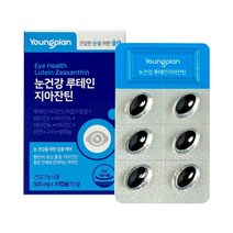 영진약품 영플랜 눈건강 루테인 지아잔틴 15g, 30캡슐, 1개