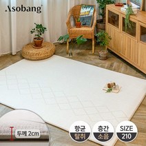 [아소방] 프라임 유아 놀이방매트 오슬로라인 210 210x140x2cm