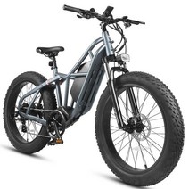 남녀공용 전기 자전거 40 팻 타이어 전기 오토바이 가변 속도 자전거 48V 750W 26 인치, 2.Graphite Gray  825Ah