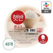 햇반 큰 공기 300g x 48개