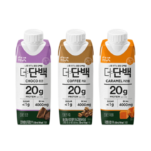 빙그레 더단백 단백질 프로틴음료 250ml 18팩, 초코맛 18팩, 18개