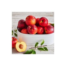 올가 제철음식 [기획]천도 복숭아(저탄소/GAP) (1.2kg) 신선 재료 수경 재배, 5개