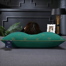 조선호텔베개 마이크로화이바 더블 G 절묘한 자수 바운스 백 베개 숏 부드러운 편안한 침실 침대 수면 5 성급 호텔 홈 성인, a01+High pillow
