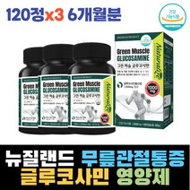 뉴질랜드 무릎 발목 손목 관절 통증 글루코사민 영양제 무릎 허리 고관절 통증 초록홍합 실버 건강 영양제 그린홍합 생신선물 관절 뼈 에좋은 보조제