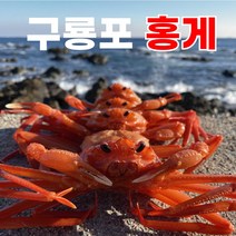 [렛츠팜] 꽉찬 고급 홍게 포항 구룡포 자숙홍게 연지 박달 정품 수율보장 70~80% 이상 산지직송, 프리미엄 자숙홍게 (수율 80% 이상)), 1개
