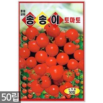 3종 모듬 당근 씨앗 1g - 씨 당근씨앗 당근씨 노랑당근 자색당근 빨간당근 자색당근 주말농장 텃밭, 09_송송이방울토마토(50립)