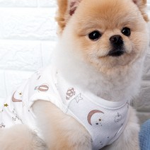 강아지옷 국내산 오가닉 실내복 잠옷 노령견옷, 6.라라문