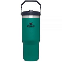 Stanley IceFlow™ 플립 빨대 텀블러 887.2ml(30온스) 시트론 스월491709, Tidepool_30oz