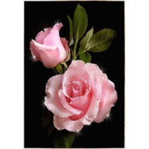 Qiqihar Qinyan 5D DIY 큐빅 보석 십자수세트 분홍 장미 취미생활 비즈십자수, 1세트, 66x55cm