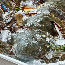농가살리기 속이 꽉 찬 연평도 급냉 몽땅꽃게 1kg 2kg, 급냉 암꽃게 2kg (10~12미), 1개