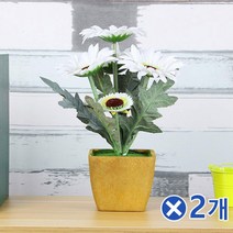 WDJ726654아담한 조화화분-해바라기x2개 개업선물 인테리어조화