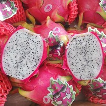 베트남 용과 대과, 백용과 5kg (10과내), 1개