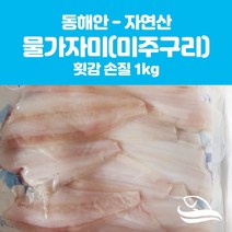 수산물여기요 물가자미(미주구리) 1kg(원물or횟감손질), 1개, 횟감손질 후 1kg