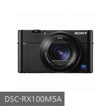 (정품)소니 DSC-RX100 VA / RX100M5A / 리안