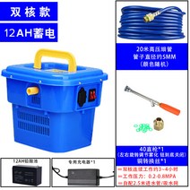 이동가능 충전식 펌프 농업용 농약 분사기 고압 세척기 세차기, 듀얼코어 12A 납산 20m