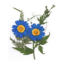 [압화꽃팩]들꽃향기공방/체험재료/JK316/누름꽃.마가렛꽃팩패키지, 1P