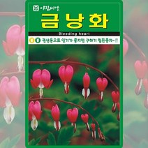 금낭화 씨앗 금낭화 씨 꽃 종자 20립, 단품