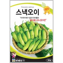스낵오이 30립 미니오이 종자 씨앗 + 서비스씨앗 증정
