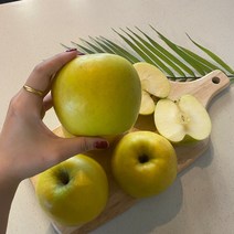 시나노 골드사과 스위트 홍로 경북 황금사과 5kg, 1개, 가정용 5kg(꼬마과25~28개)
