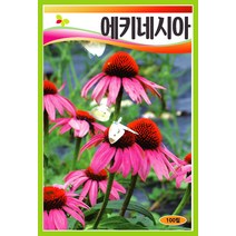 화단용꽃씨 씨앗] 에키네시아 푸르푸레아 100립