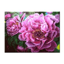 모모픽스페인팅 I73 화려한 모란꽃 (물감 2배) 목단 꽃그림 복을 부르는 꽃 그림 50x40cm 따라그리기 유화그리기 행운 돈복