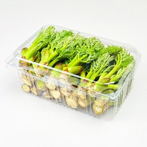 과일 포장용기 DA-713(자두1.2kg) 250개