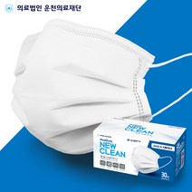 식약처인증 국내생산 메디홀스 뉴크린 덴탈 마스크 비말차단 KF-AD 120매 / 240매, 120매 (30매x4개)