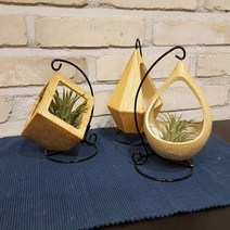 W196BD2상회 인테리어 화분 다육식물 도기 소품 공기정화식물 틸라드시아 이오난사, 삼각형