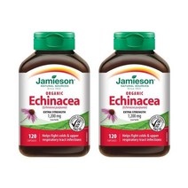 자미에슨 에키나시아 Echiea 1200mg 120정 x2
