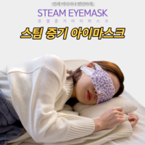 아이마스크 일회용 온열안대 눈찜질팩 수면안대 스팀 온열수면안대 안구건조증 안구찜질팩 눈피로푸는법 눈마사지 온찜질 눈온열기 발열 눈핫팩 숙면 따뜻한 눈온찜질팩 휴대용 선물 추천, 냉기, 10개