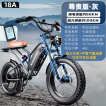 자토바이 20인치 전기자전거 팻바이크 전동 클래식, 48V, 표준 1000출력(약60KM 주행)